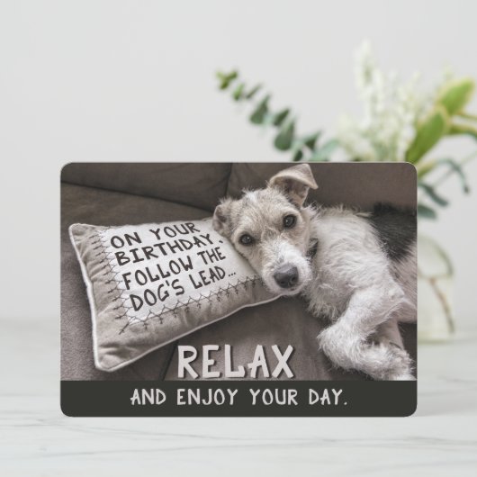 Ontspan als de hond Happy Birthday Kaarten (Staand voorkant)