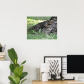 Ontspan eekhoorn rustend op boomwortels poster (Thuiskantoor)