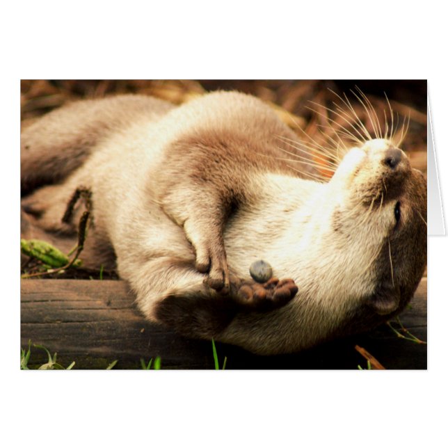 Ontspan en geniet van! (Voorkant Horizontaal)