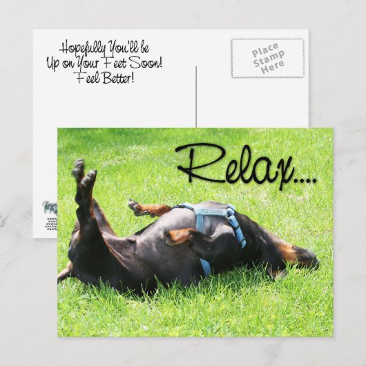 Ontspan en word gezond - Teckel - Hoover Briefkaart (Voorkant / Achterkant)