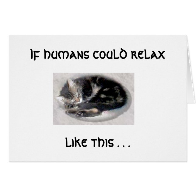 Ontspan je als een kat (Voorkant Horizontaal)