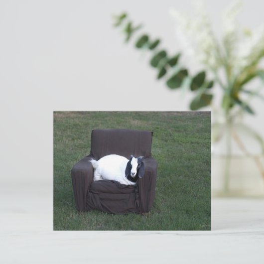 Ontspan je gewoon briefkaart (Staand voorkant)