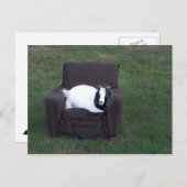 Ontspan je gewoon briefkaart (Voorkant / Achterkant)