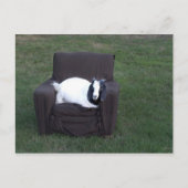 Ontspan je gewoon briefkaart (Voorkant)