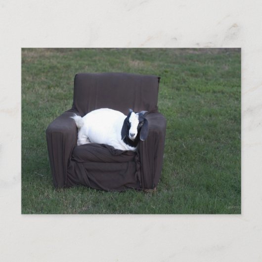 Ontspan je gewoon briefkaart (Voorkant)