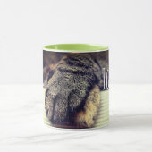 Ontspan kat Mok (Midden)