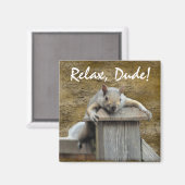 ONTSPAN, KEREL! Eekhoorn Ontspannend Critter Fun M Magneet (Voorkant / Achterkant)