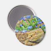 Ontspannen Bearded Dragon Magneet (Voorkant / Achterkant)