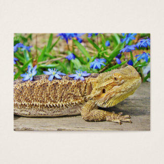 Ontspannen Bearded Dragon Visitekaartje