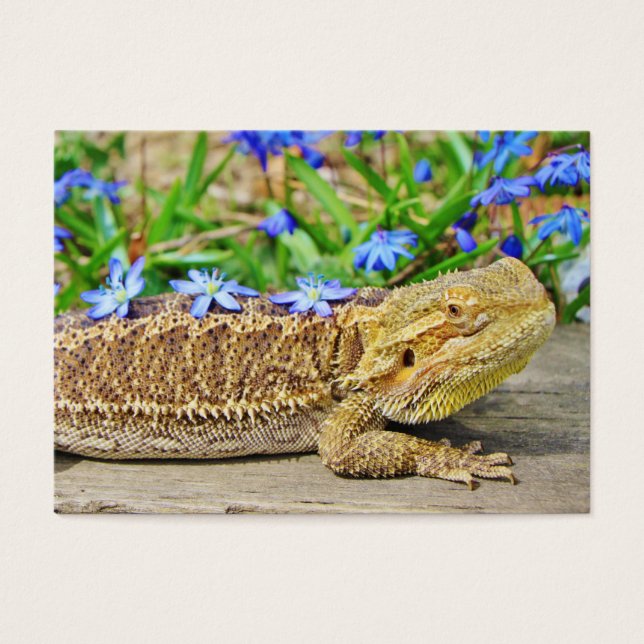 Ontspannen Bearded Dragon Visitekaartje (Voorkant)
