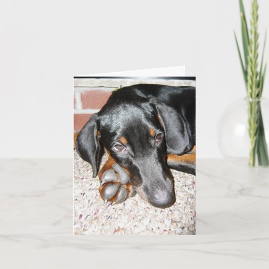 Ontspannen Doberman Pinscher Puppy - Blank Note Ka Kaart (Voorkant)