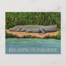 Ontspannen Florida Gator Ansichtkaart Briefkaart