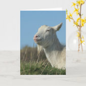 ontspannen geit kaart (Gele Bloem)