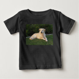 Ontspannen hond
