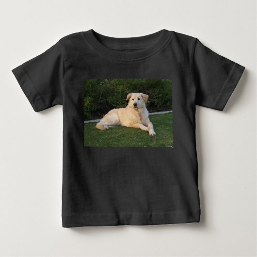 Ontspannen hond (Voorkant)