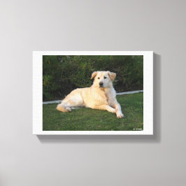 Ontspannen hond canvas afdruk