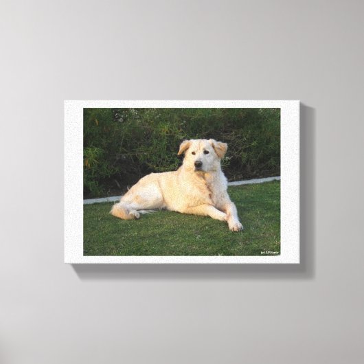 Ontspannen hond canvas afdruk (Voorkant)