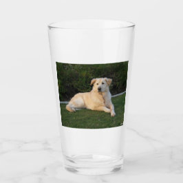 Ontspannen hond glas