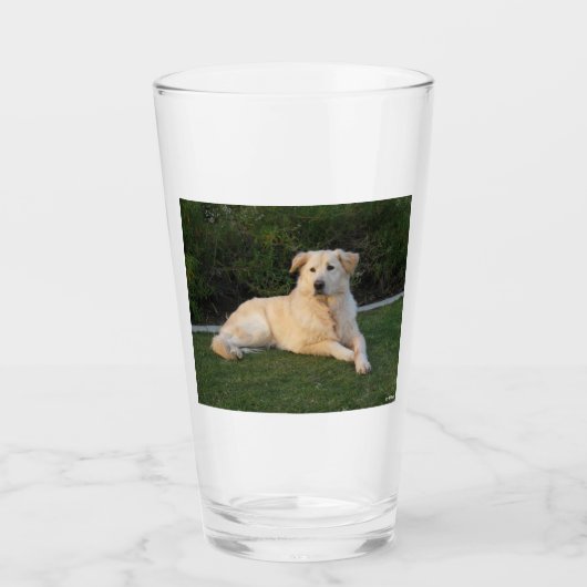 Ontspannen hond glas (Voorkant)