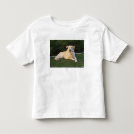 Ontspannen hond kinder shirts