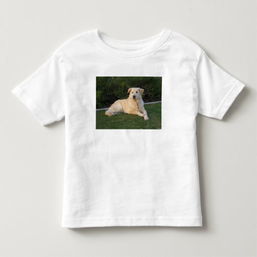 Ontspannen hond kinder shirts (Voorkant)