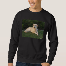 Ontspannen hond trui