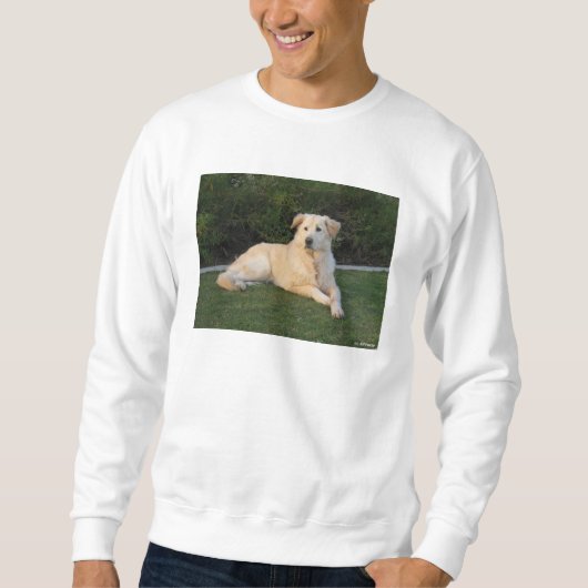 Ontspannen hond trui (Voorkant)