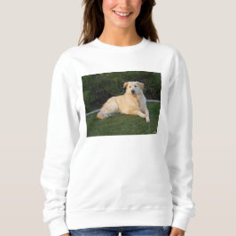Ontspannen hond trui