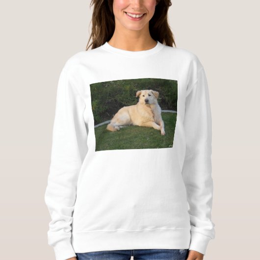 Ontspannen hond trui (Voorkant)