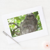 Ontspannen luiaard in de Natuur Rechthoekige Sticker (Envelop)