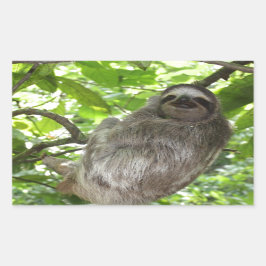 Ontspannen luiaard in de Natuur Rechthoekige Sticker