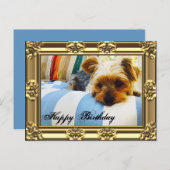 Ontspannen met Yorkie Birthday Briefkaart (Voorkant / Achterkant)