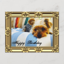 Ontspannen met Yorkie Birthday Briefkaart