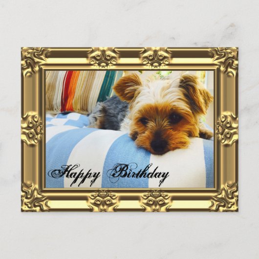 Ontspannen met Yorkie Birthday Briefkaart (Voorkant)