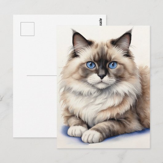 Ontspannen Ragdoll Cat Illustratie Gezellig Huisdi Briefkaart (Voorkant / Achterkant)