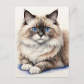 Ontspannen Ragdoll Cat Illustratie Gezellig Huisdi Briefkaart (Voorkant)