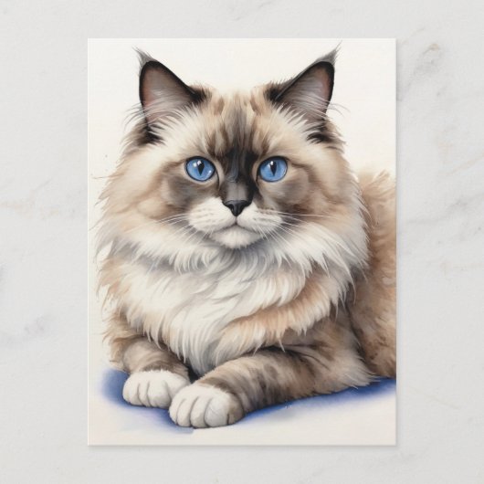Ontspannen Ragdoll Cat Illustratie Gezellig Huisdi Briefkaart (Voorkant)