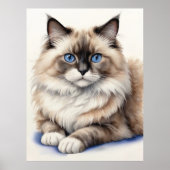 Ontspannen Ragdoll Cat Illustratie Gezellig Huisdi Poster (Voorkant)