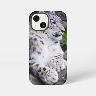 Ontspannen Sneeuwluipaard iPhone 13 Mini Hoesje
