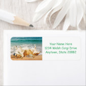 Ontspannen Welsh Corgi op het strand Etiket (Insitu)