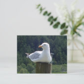 Ontspannen Zeemeeuw Rustend Op Hek Bosachtige Kust Briefkaart (Staand voorkant)