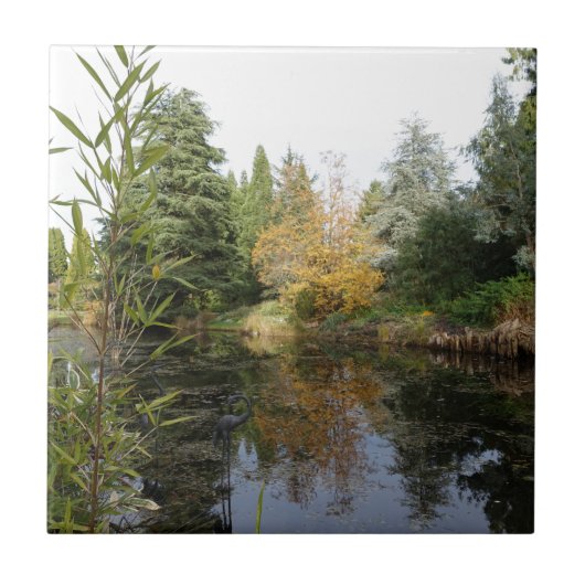 Ontspannend tuinbeeld, mooie bomen... tegeltje (Voorkant)