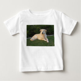 Ontspannende Hond