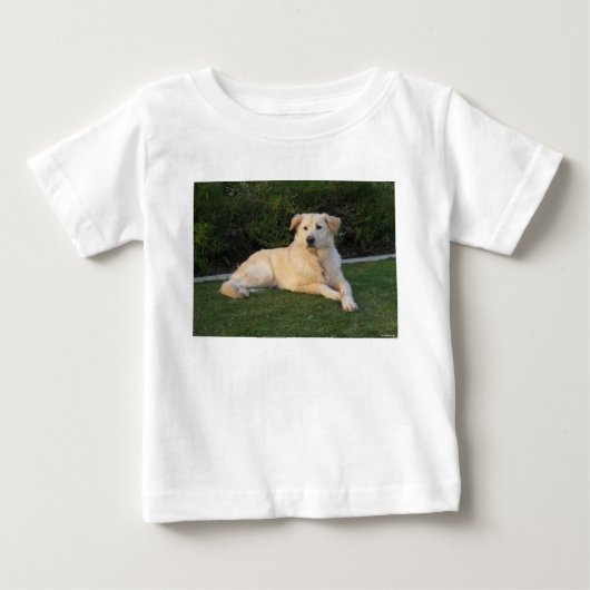 Ontspannende Hond (Voorkant)
