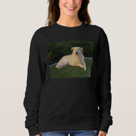 Ontspannende Hond Trui