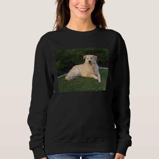 Ontspannende Hond Trui (Voorkant)