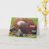 Ontspannende orang-oetan pensioen foto Wenskaarten Kaart (Gele Bloem)