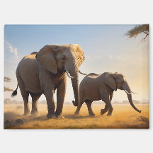 Ontspannende scène om van te genieten