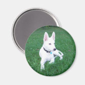 Ontspannende Shepherd Magnet (Voorkant / Achterkant)