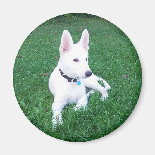 Ontspannende Shepherd Magnet (Voorkant)